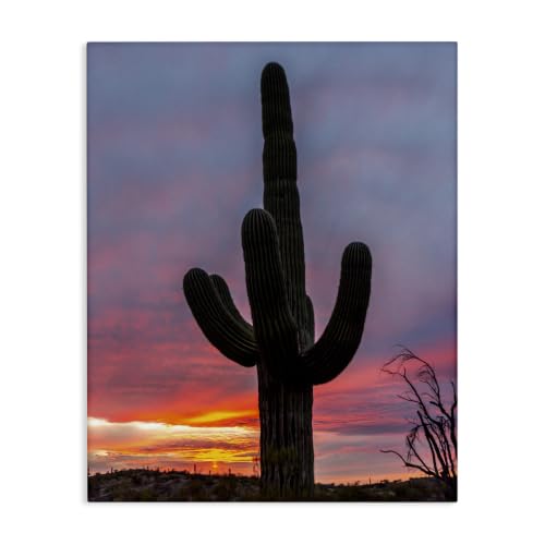 Stupell Industries 'Looming Desert Cactus Silhouette'| Canvas Art