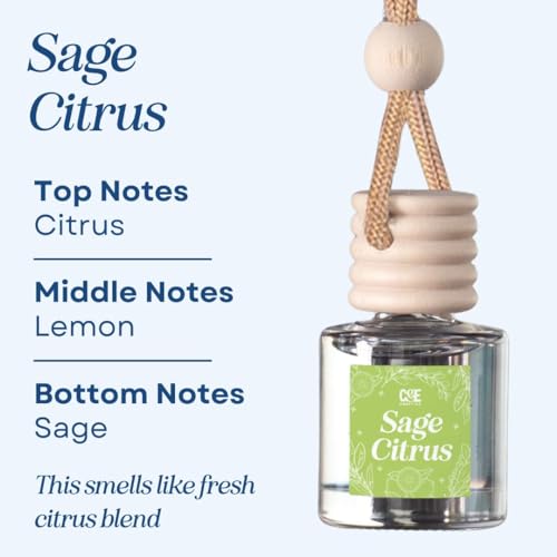 Image of C&E Craft Co Hanging Car Air Freshener Diffuser 2 Pack, Long Lasting Fragrance Oil Car Freshener, Glass Bottle Auto Air Freshener, Made in USA (Sage Citrus)