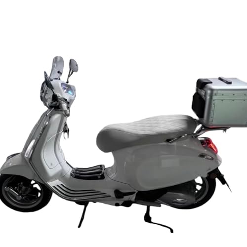 Porte-bagages pour GTS 300 résout le manque de place - 2