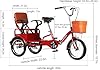Outroad Adult Tricycle, 16 inch Cruiser Trike, Foldable Bicycle for Elderly 3 Wheel Bikes with Back,Cargo Basket and Comfortable Seat for Seniors, Women, Men for Shopping Picnic Outdoor Sports #1