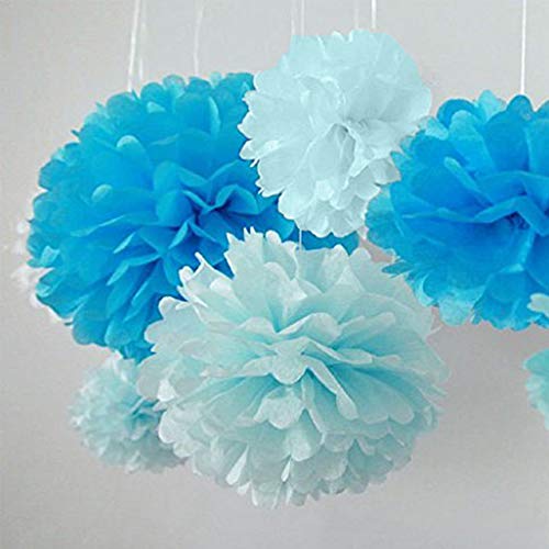 Life Glow 5Pcs Pom Poms Of 10" 12" Multi-Colors Tissue Paper Craft Pom Poms Kit Tissue Paper Flowers Wedding Decorations For Wedding, Birthday, Baby Shower, Nursery Decor- #TOP4