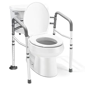 Medical king Toilet Safety Rail ...