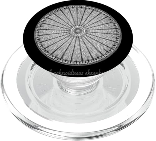Hermosas diatomeas - Arachnoidiscus ehrenbergii PopSockets PopGrip para MagSafe
