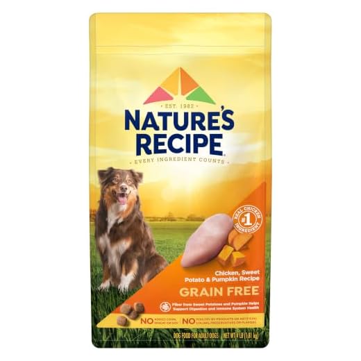 Nature's Recipe Grain Free Chicken, Sweet Potato & Pumpkin Recipe Dry Dog Food, 4 lb. Bag