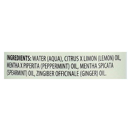 Aura Cacia Aroma Mist Ginger/Mint 4 Fz #TOP1
