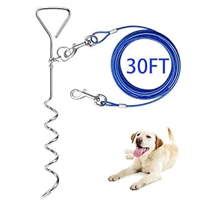 Dog Tie Out Cable and Anti Rust Spiral Stake , 30ft Outside Leash&Chain for Camping and Yard, 16” Heavy Duty for Medium-Large Dogs Up to 125 lbs (30FT, Blue)
