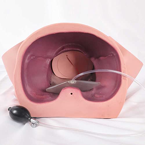 Simulateur de naissance pour surmonter les erreurs de manipulation obstétricale - 6