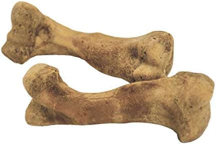 pomeranian white small