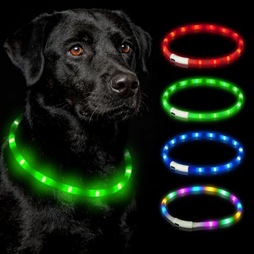 HOTUT Collare per Animali Domestico LED Ricaricabile USB,Collare per Cani a Led con Lunghezza Regolabile con 3 Modalità di Illuminazione,Collar Luminoso per Cani Taglia Piccola Media Grande(Verde)