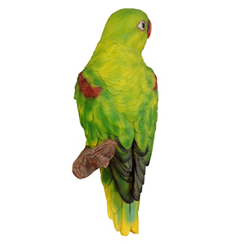 Image of Wonderland wall Parrot for Home or Garden Decor