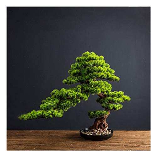 Feiyiyang Artificial Bonsai Tree Green Plant Simulation Big Bonsai Welcome Pine Fake Plant Indoor Garden Home Office Desktop Decoration Simulation Tree Ornaments Artificial Bonsai (Size : B) #TOP27