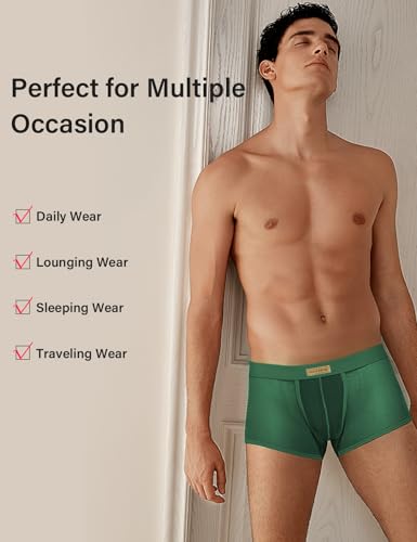 Men Mesh Boxer Briefs Stretch Breathable Underwear Hipsters Trunk4