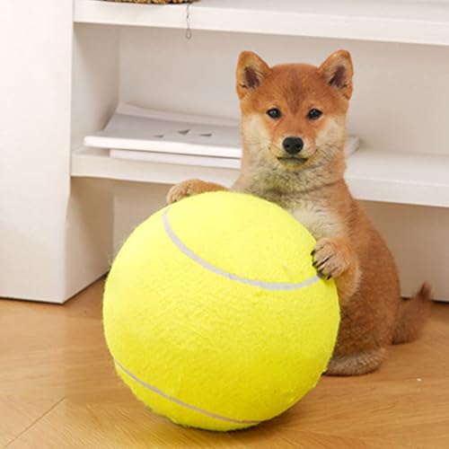 Tennisbälle für Hunde, Tennisbälle für Hunde, Kauspielzeug für große Hunde im Freien-2