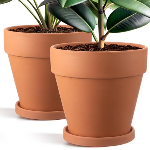 Maxdot 2 Pack Large Terracotta Pots with Saucer - 10 Inch Ceramic Clay Pot for Plants with Drainage Hole, Large Terra Cotta Flower Planter with Tray for Indoor Outdoor Plants