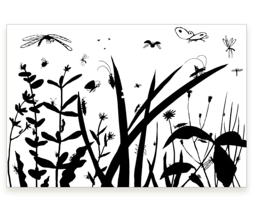 La Canzone Degli Insetti. Ediz. Illustrata - 3