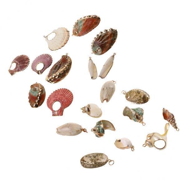 SNAPPSY 2xPhenovo Gilding Conch Sea Shell Beads Jewelry Making DIY Crafts Beach Gold-image-11