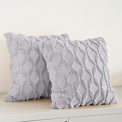 Pagnanno. Set of 2 Soft Velvet Cushion Covers 45x45cm(18x18 Inches) Fluff Throw Pillowcases Square Cushion Covers for Chairs,living room,bedroom with Invisible Zipper (18"x18" (Pack of 2), Light Grey)