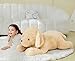 IKASA Perro Labrador Peluche Gigante Juguete Animale Imagen de IKASA Perro Labrador Peluche Gigante Juguete Animale