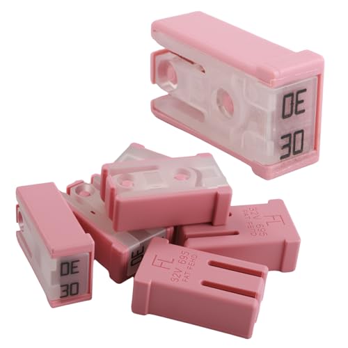 6PCS 30A 32V Slow Blow Car Fuses Assortment Kit,Slotted Cartridge Fuses for Protect Circuits,Universal Car Accessories Replacement Mini Fuse Kits for Cars,Trucks,SUVs (30A)