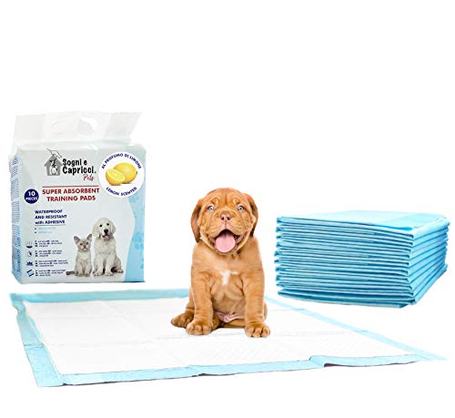 Tappetini Igienici Assorbenti per Cani e Gatti 60x60 cm – 5 Strati Super Assorbenti, Antiodore e Antifuga Liquidi con Adesivi – Traversine Educazione Addestramento Cuccioli (Limone, 10 Pezzi)