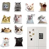 SWYZOR Kühlschrankmagnete,12 Stück Katzen Meme Fridge Magnet Kühlschrank Set,Kühlschrank Magnete Witzig,Magnete Lustig,Witzige Meme Sticker,für Kühlschranks,Whiteboard,Kreative Raumdekoration(B)
