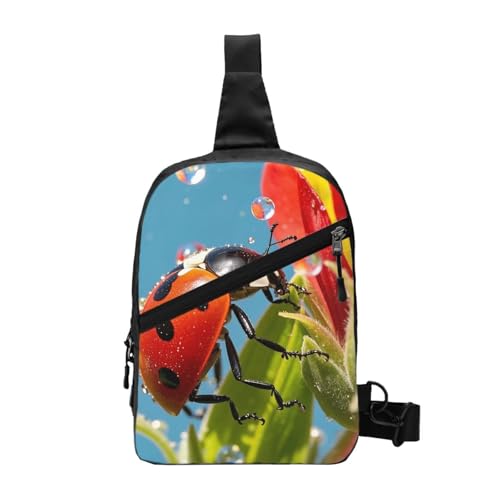 Funny Ladybug Print Men's and Women's Foldable Crossbody Bag,Sports Crossbody Bags,and Daily Chest Bags