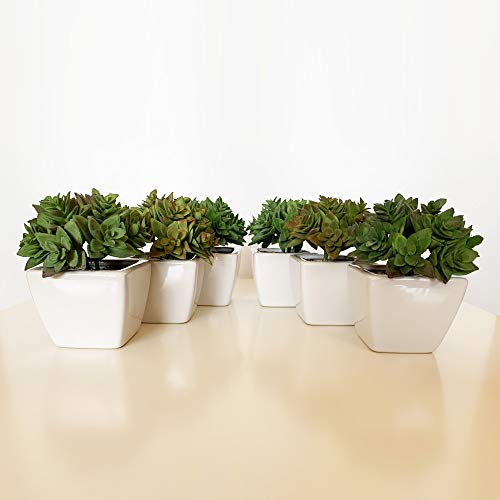 Wellhome Kunstmatige cactusplanten met keramische pot, verpakking van 6 St025, 22 x 6 cm