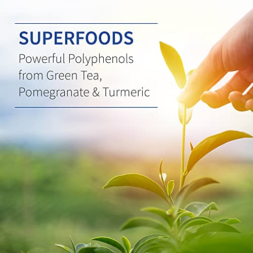 Garden Of Life Quercetin Post Workout Recovery With Zinc, Turmeric & Green Tea – Dr Formulated – Healthy Inflammatory Response & Joint Support - Gluten Free, Non Gmo, Carbon Neutral – 30 Tablets #TOP7