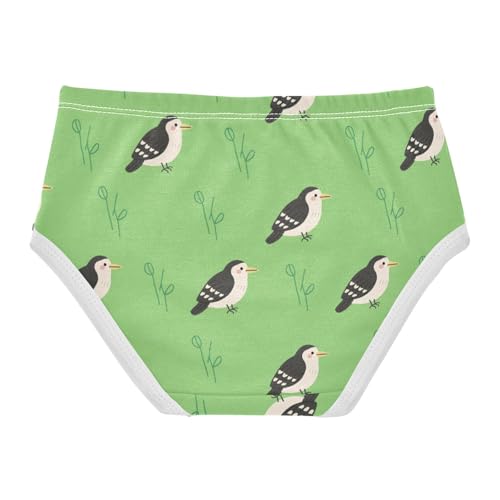 Girls' Underwear Cute Bird Green Toddle Brief Panties 23014862