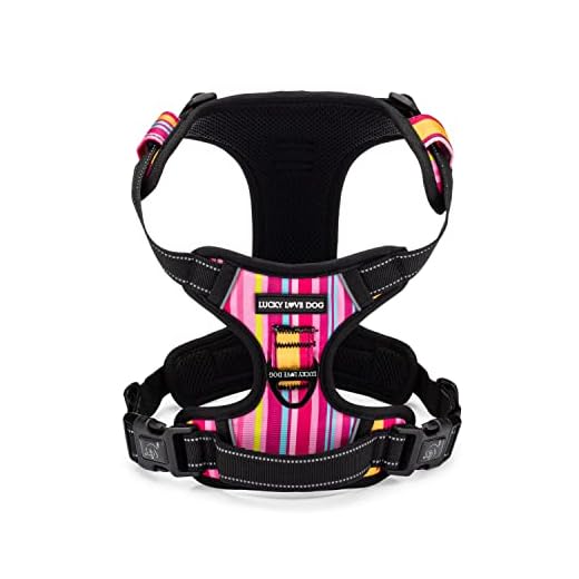 Lucky Love Dog No Pull Dog Harness, Adjustable and Easy to Walk, Cute Patterned Harness for SmallMale & Female Dogs - Molly, Small