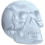 FloraCraft EPS Skull Head with No Neck