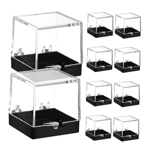 GRADENEVE 10piezas Caja De Presentación