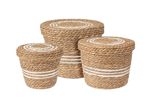 3er Set Aufbewahrungskorb aus Seegras - 37, 32, 26 cm - Korbset aus Seegras mit Deckel - Mehrzweck â€¦ – Miniatur