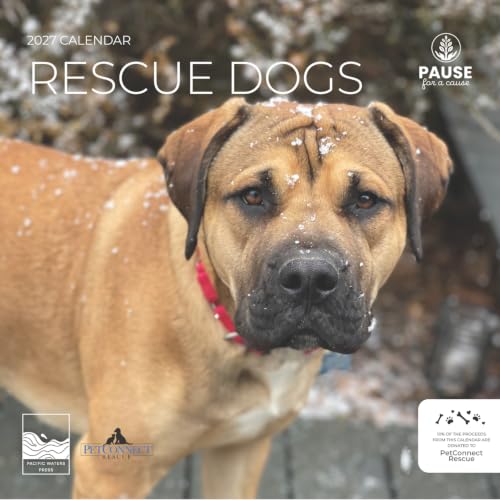 Rescue Dogs 2027 Wall Calendar