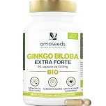 Ginkgo Biloba BIO | Extra Forte, 4560mg al giorno | Contiene Flavonoidi e Terpeni | 90 capsule vegane | Memoria, Concentrazione, Circolazione Sanguigna | Qualità Superiore
