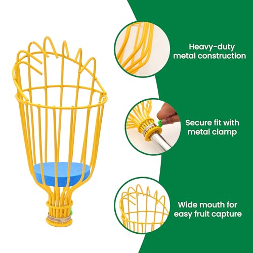 Image of Urban Plant Mango Plucker | Metal Fruit Picker Head | Yellow | with Sponge | Attaches to Any 1-Inch Pole | Rust-Proof Powder-Coated Iron (Pole Not Included)