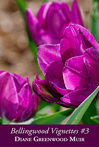 Bellingwood Vignettes Collection #3