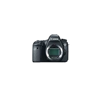 Amazon.com : Canon EOS 6D 20.2 MP DSLR Camera Body (Renewed