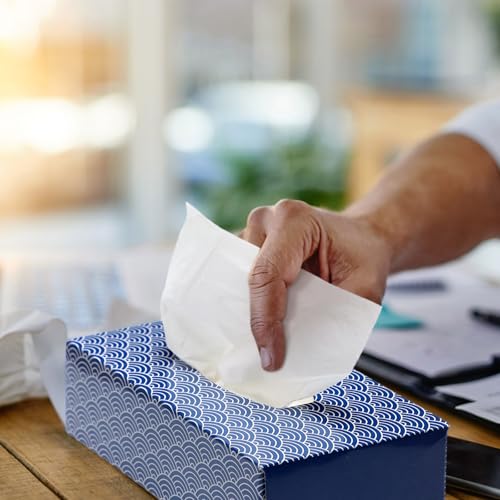 Image of Yinder 12 Packs Back to School Facial Tissue Boxes 1560 Sheets Soft Facial Tissue Bulk for Teacher Classroom School 2 Ply 130 Sheets Travel Tissues for Home Office Car Kitchen Wedding(Clouds)