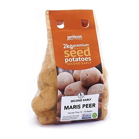 2kg Maris Peer Seed Potatoes (Approx. 20-25 Tubers) - Second Early Grow Your Own - Baking, Boiling & Salads - Scottish-Grown & Ready to Plant at Home in Gardens & Allotments by Jamieson Brothers Cover