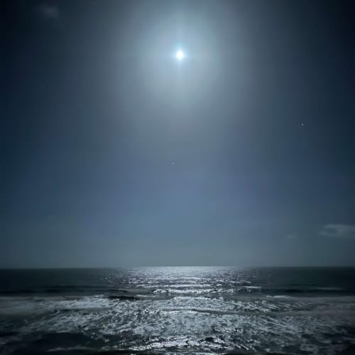 Eating Shark in the Ramshackle