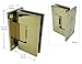 SHS Heavy Duty Wall-to-Glass Frameless Shower Door Full Back Plate Hinge for 3/8''-1/2'' Glass with Replacement Parts for Glass Shower Doors, Solid Brass (Gold)