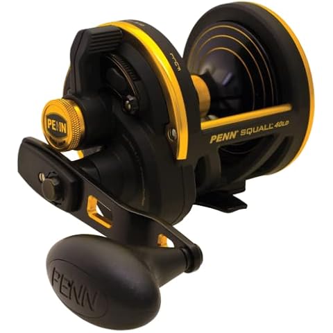 Penn Squall Lever Drag Reel 40 Cover