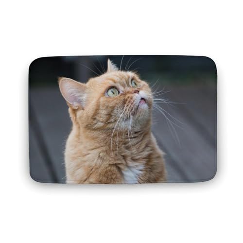 L   oX}bg   z փ}bg  O   傫 ~ Aj LN^[ @}bg   ʏ