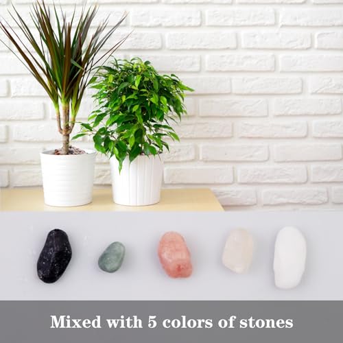 Image of 5lb Pea Silica Gravel Decorative Rocks, Polished Pebbles Ideal for Fish Tank, Vases, Succulents, Home Decor and Garden Landscaping, Countryside