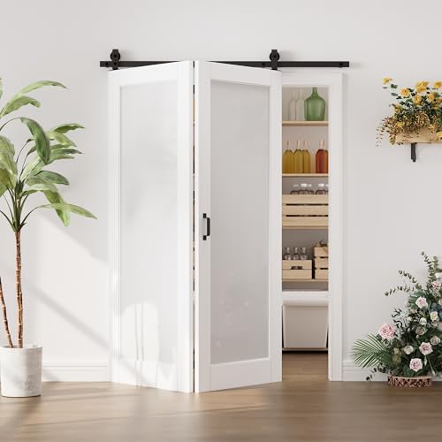 Image of 60 inchx80 inch White 1-Lite Frosted Glass Bifold Barn Door Slab and 64 inch Track Kit