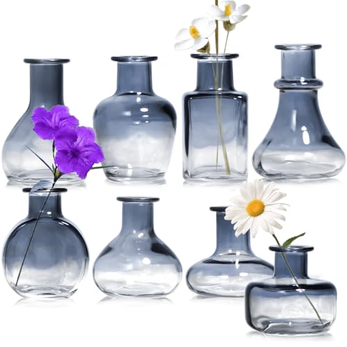 Lista de Centros de Lavado IMIKEYA favoritos de las personas. 50 XINHONGJIN Juego de 8 Jarrones de Vidrio Transparentes,Floreros Decorativos para Mesa con Diseño Clásico, Jarrone Pequeños para Flores,Florero de Vidrio Pequeños para...