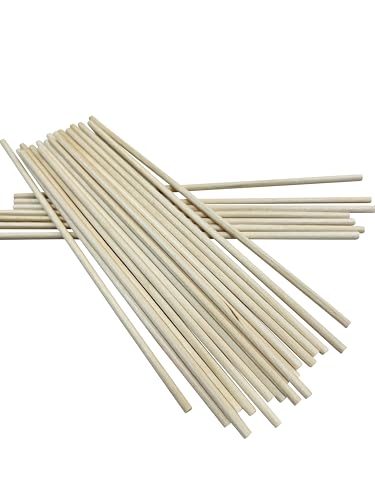 バーチ材 丸棒 【3mm×200mm 20本】 工作 ダボ 建築 模型 パーツ クラフト DIY 広葉樹 天然木のサムネイル