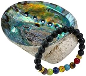 Canosa Abalone Shell - Perfect for Holding Incense, Trinkets, & More with 7 Chakra Healing Bracelet - Smoke Cleansing Smudge Sticks Healing, Natural