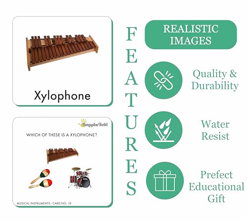 Image of GrapplerTodd Musical Instruments Activity Flashcards for Kids, Early Learning Toys, Flashcards for Preschoolers & Toddlers, Montessori Educational Toys, 6 Months to 6 Years Kids